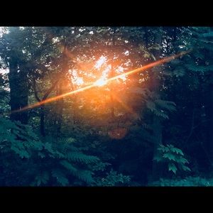 Meet your Posher, Thomas